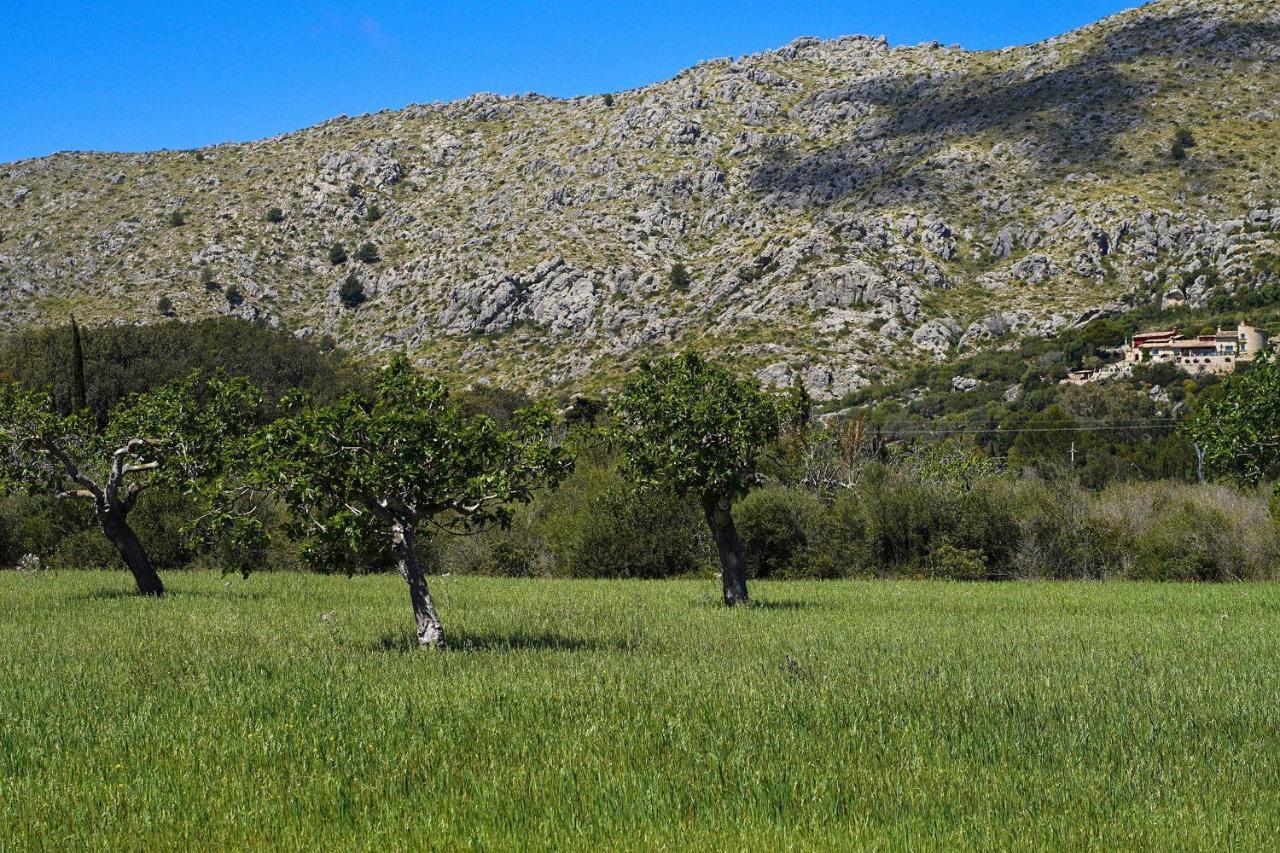 Villa Oliver Pollença Esterno foto